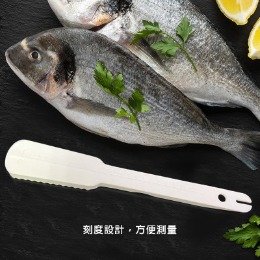 刮魚鱗器